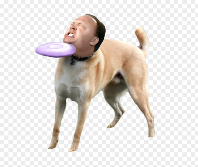 Dog Star Doge: Weird Game Flying Discs Disc PNG