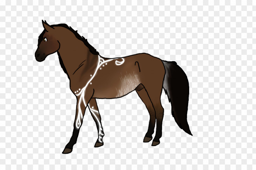Horse Supplies Tail Cartoon PNG