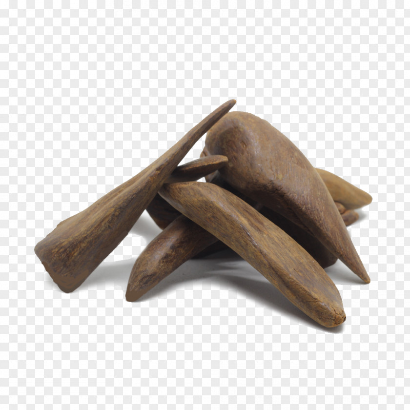 Oud Aquilaria Malaccensis Agarwood Bukhoor Incense PNG