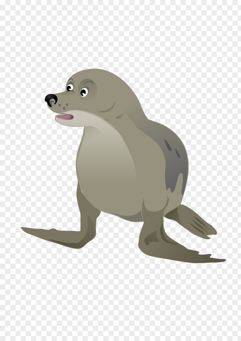 Seal Pinniped Cartoon Grey Clip Art PNG