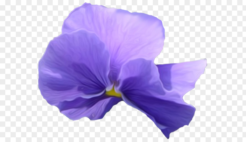 Violet Pansy Flower Clip Art PNG