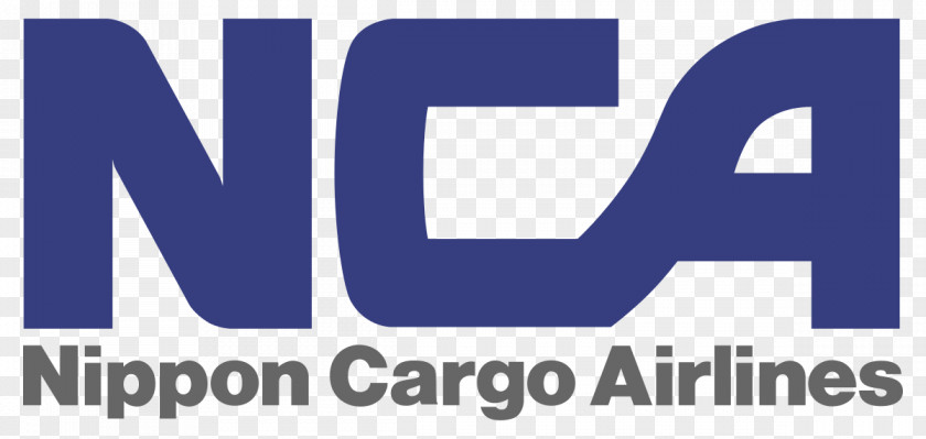 Air Freight Dallas/Fort Worth International Airport Nippon Cargo Airlines PNG