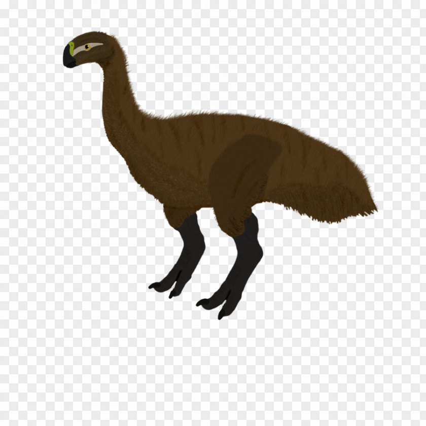 Allosaurus Illustration Beak Fauna Dinosaur Terrestrial Animal PNG