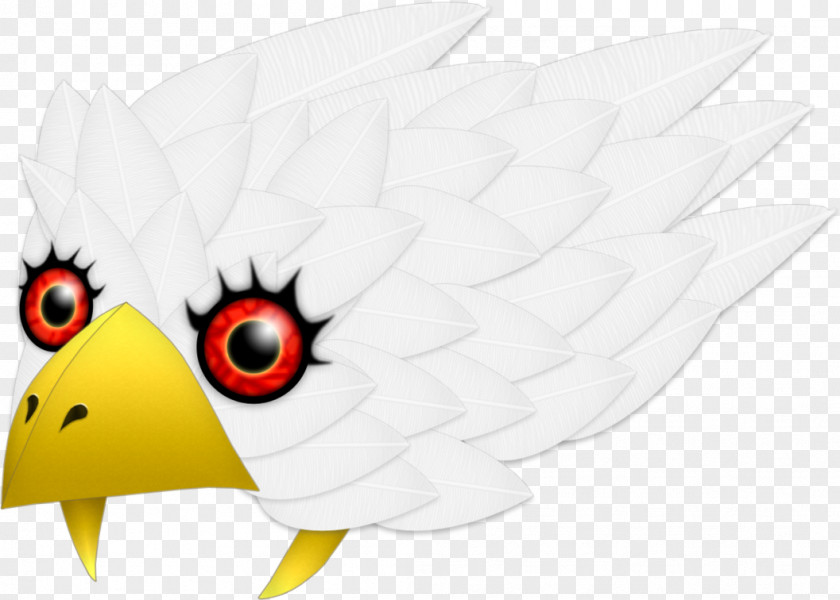 Bird Beak Of Prey Clip Art PNG