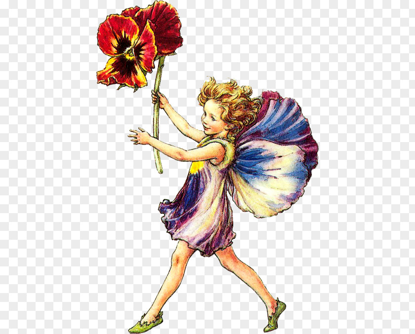 Fairy Illustration Flower Fairies Clip Art PNG