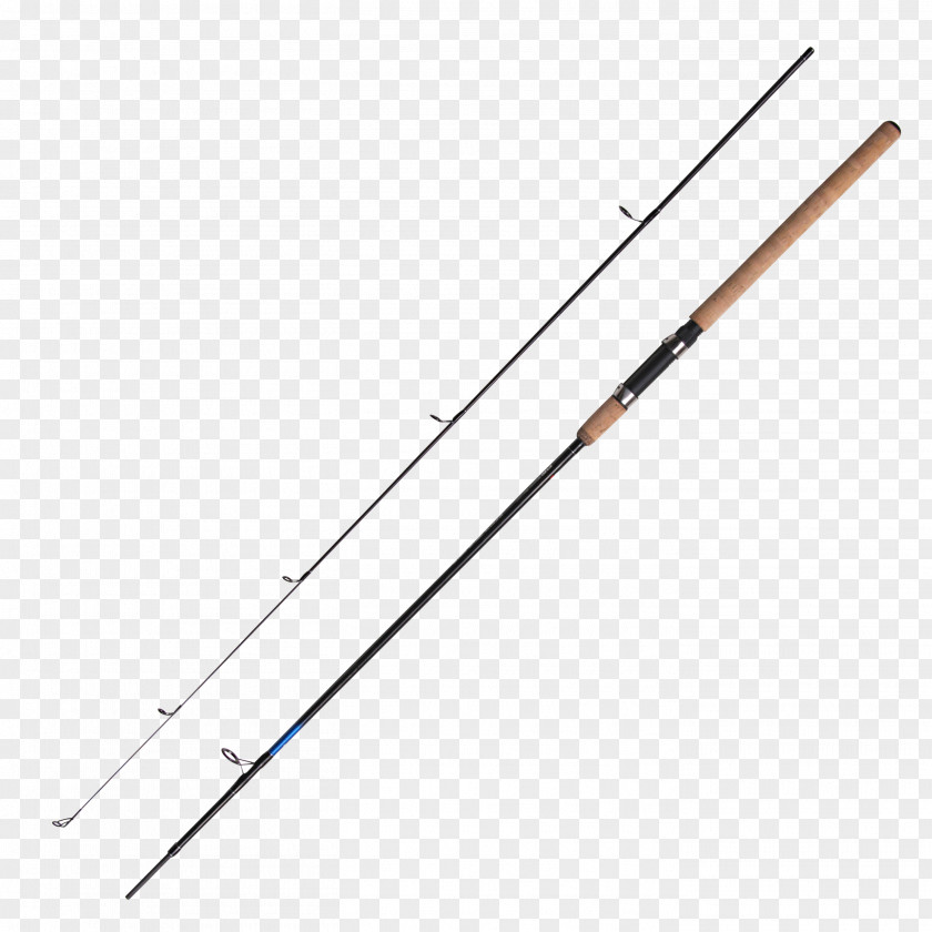 Fishing Pole Ski Poles Line Point Angle Recreation PNG