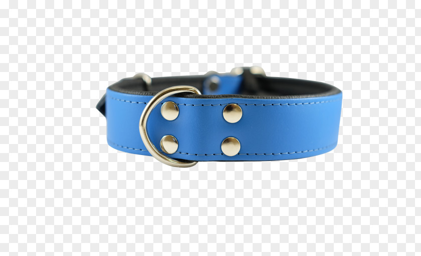 Belt Dog Collar PNG