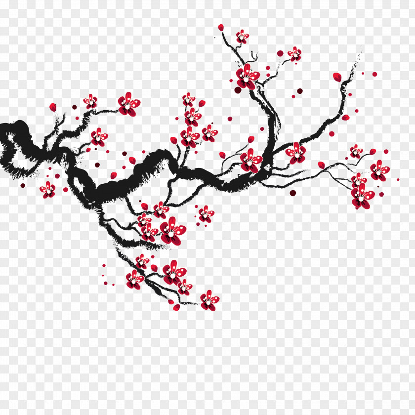 Cherry Blossoms Blossom Drawing PNG