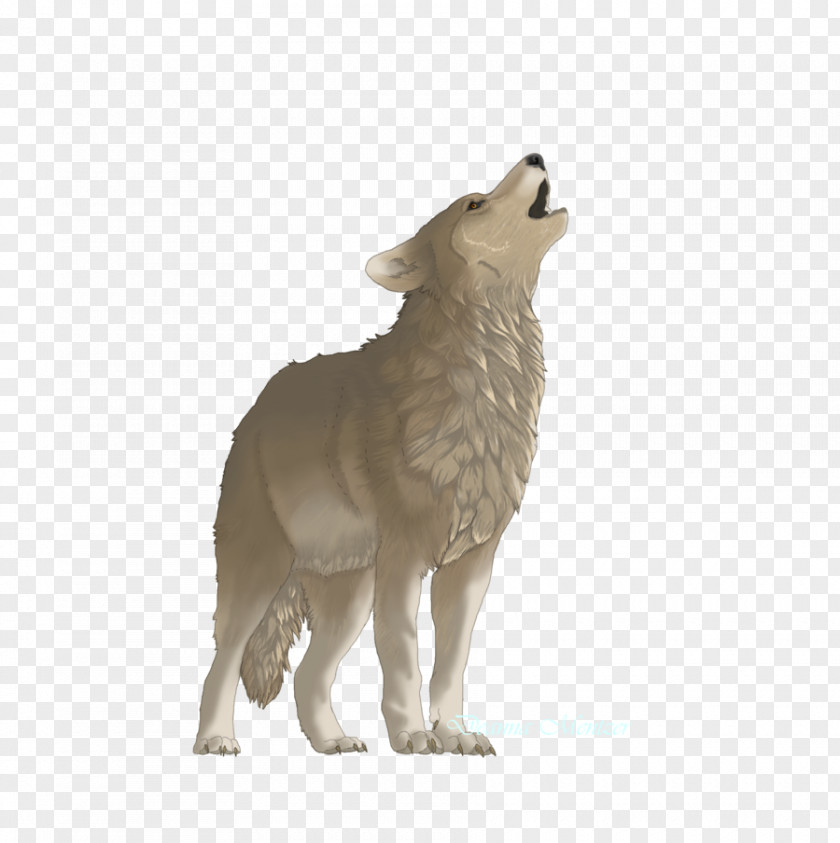 Dog Coyote Terrestrial Animal Fur Wildlife PNG