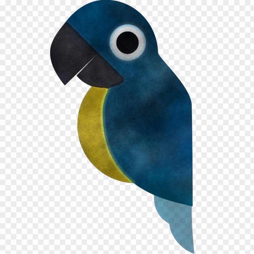 Feather PNG