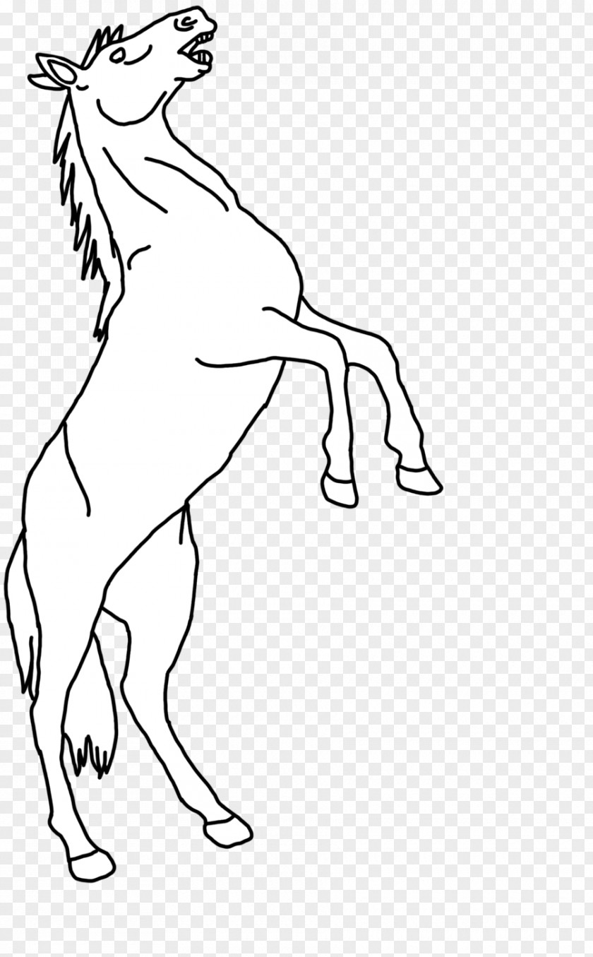 Mustang Mane Line Art Drawing PNG