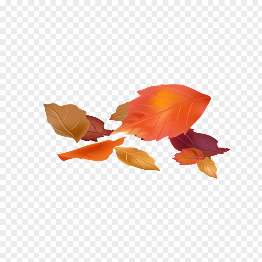 Autumn Leaves Google Images Download PNG