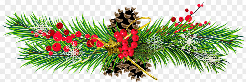 Cinnamon Sticks Clip Art Christmas Day Conifer Cone Pine PNG