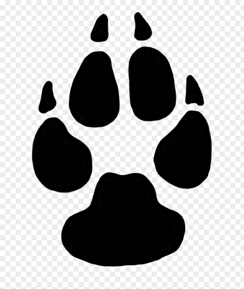 Dog Cougar Lion Animal Track Paw PNG