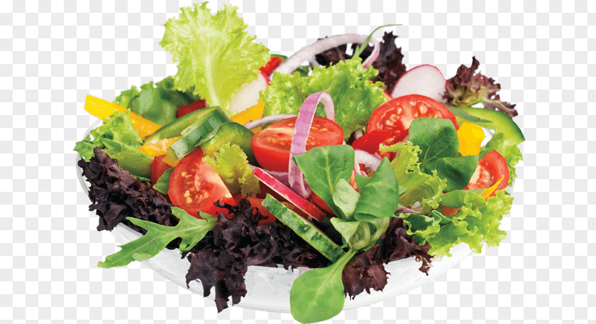 Fresh Salad Lettuce Raita Tikka Restaurant PNG