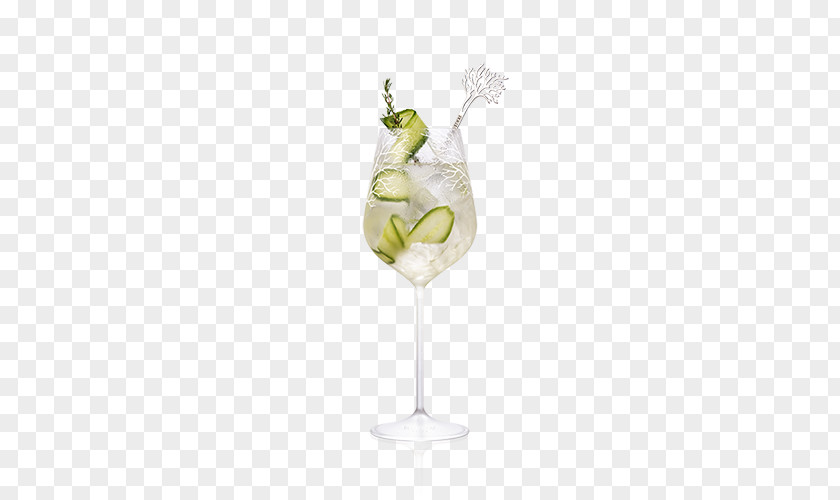 Sea Cucumber Cocktail Garnish Spritz Gin And Tonic Martini PNG