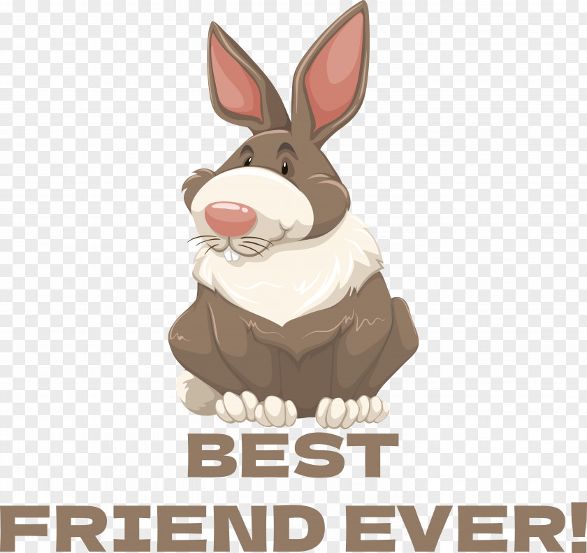 Tiger Rabbit Rabbit Rabbit Rabbit Turtles Vector PNG