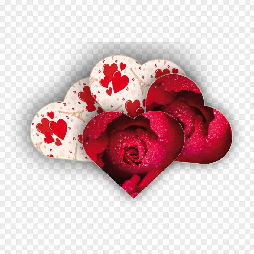 Valentine's Day Garden Roses Cut Flowers Petal PNG