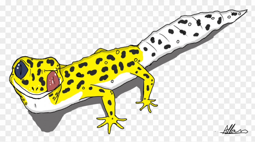 Cartoon Leopard Pictures Common Gecko Drawing PNG