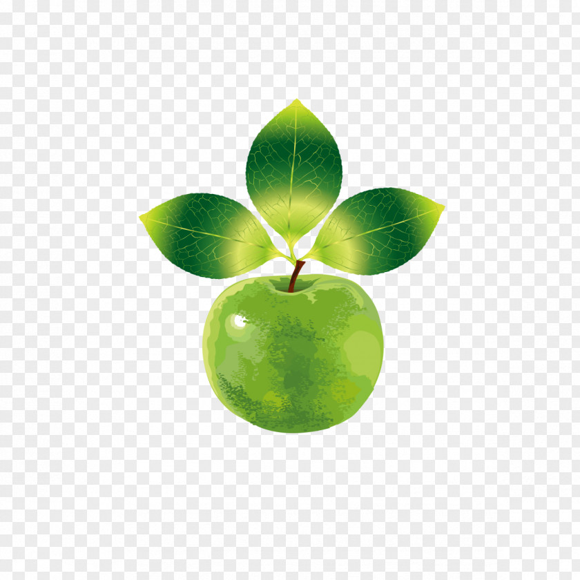 Creative Green Apple Fruit Clip Art PNG