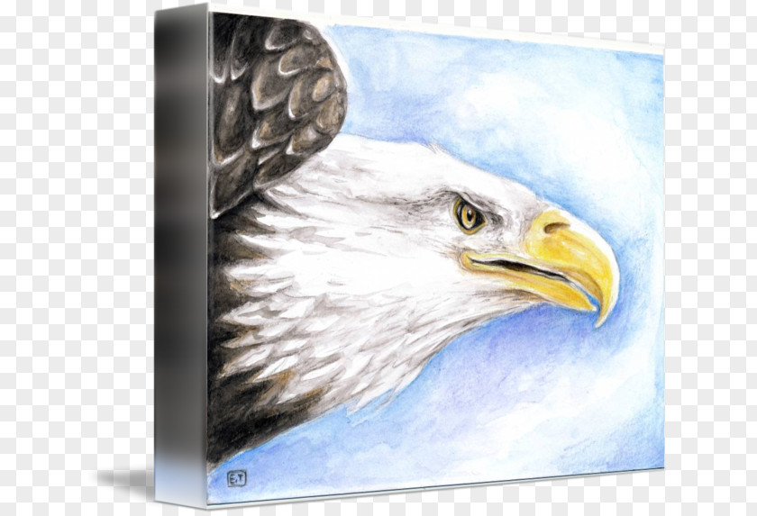Eagle Bald IPhone 6S Beak PNG