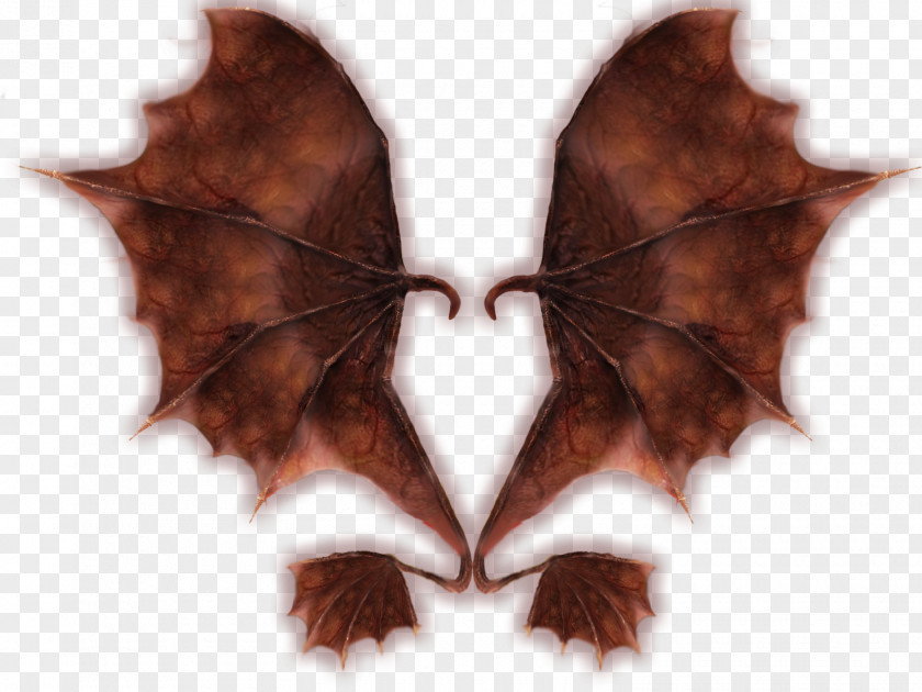 Hand-painted Wings Mu Online Download Computer Servers Game PNG