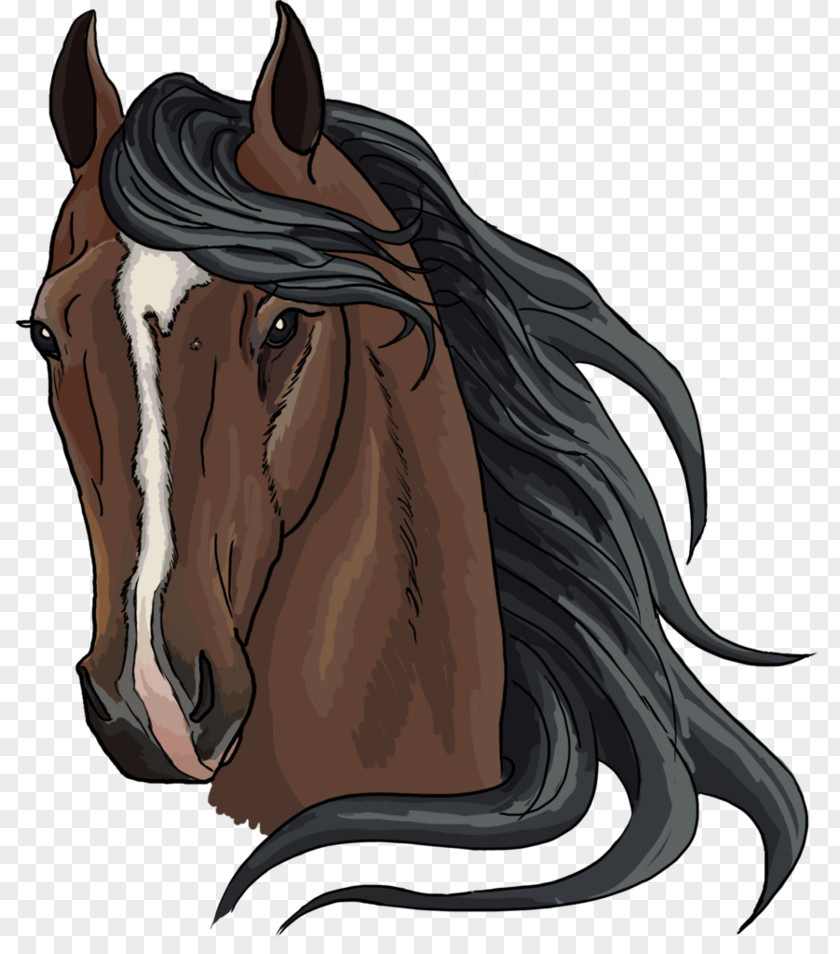 Mustang Mane Rein Pony Stallion PNG