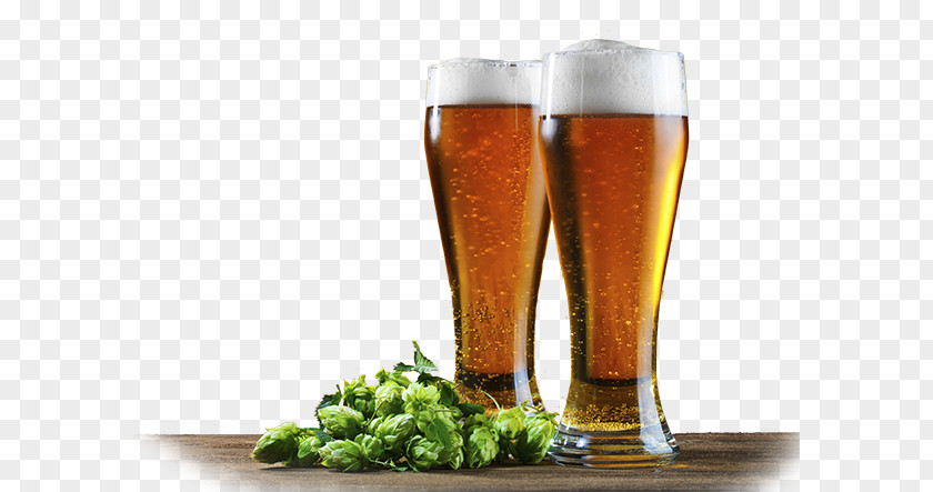 Beer Universe Glasses Hops PNG