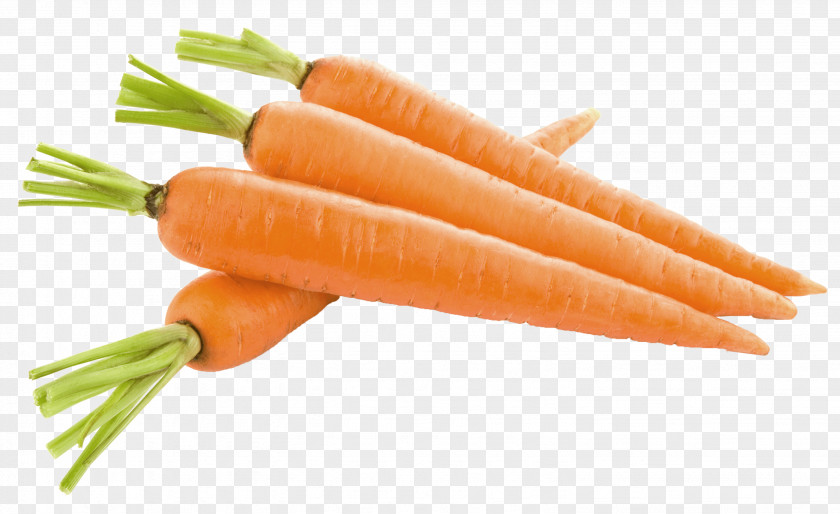 Carrot Soup Baby Clip Art PNG