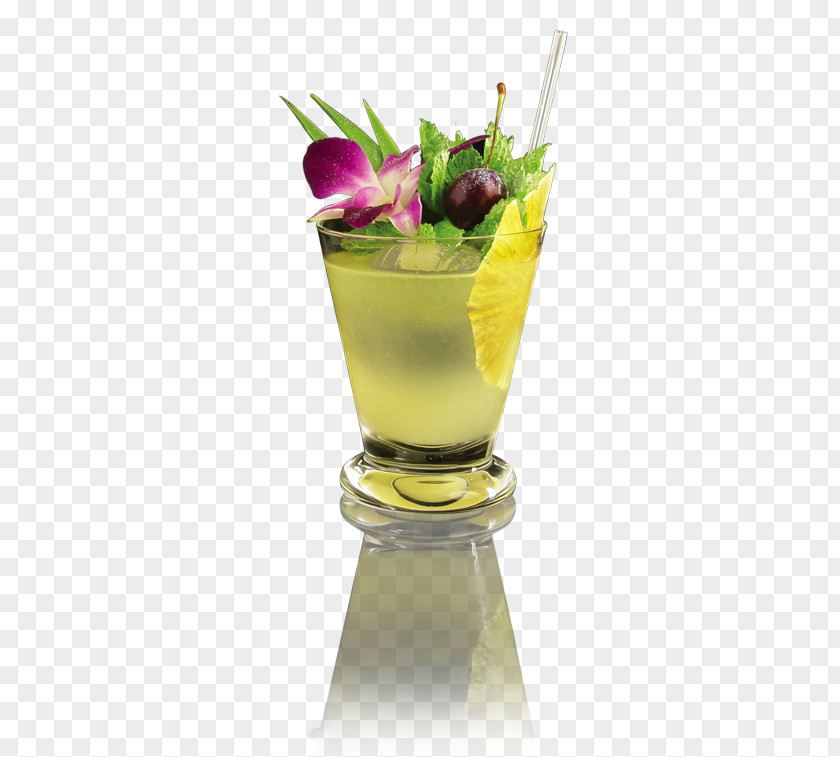 Cocktail Garnish Mai Tai Mint Julep Liqueur PNG