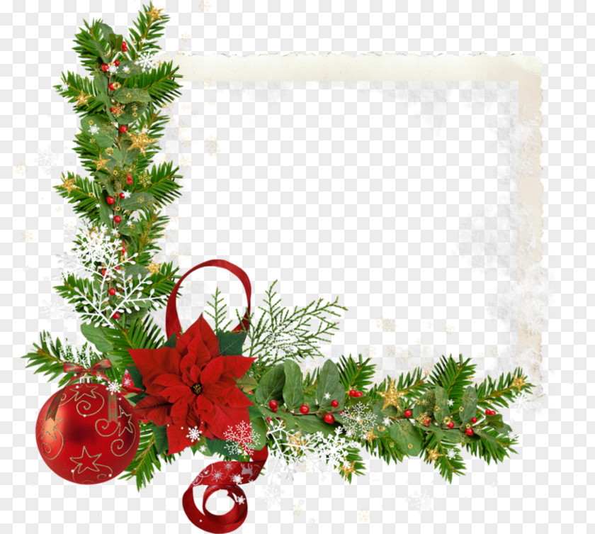 December Design Element Joulukukka Poinsettia Christmas Day Clip Art PNG
