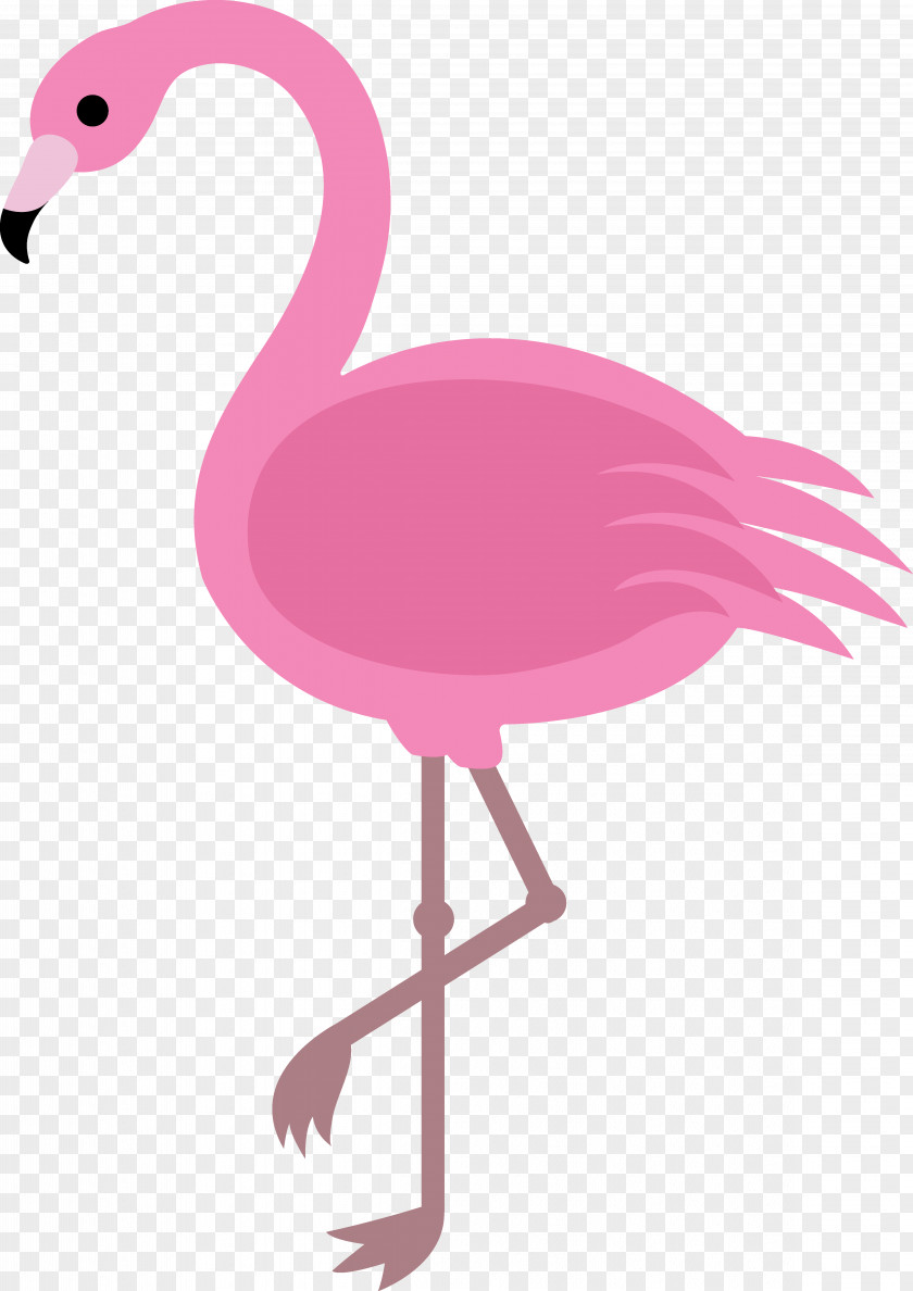 Flamingo Cartoon Images Free Content Clip Art PNG