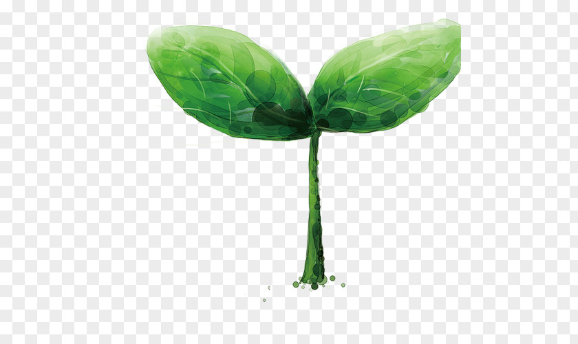 Leaves Child PNG