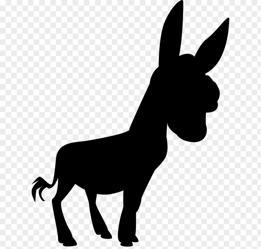 Mule Mustang Mammal Dog Donkey PNG