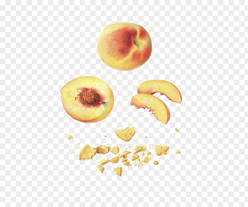 Peach Download Fruit PNG