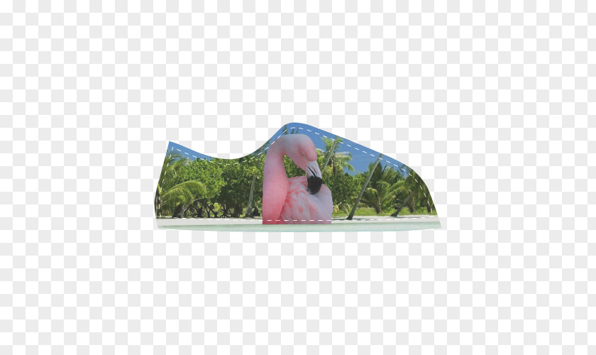 Beach Slippers Bird PNG