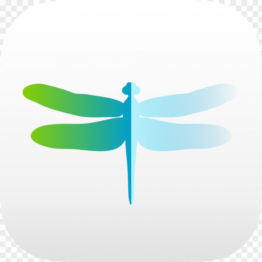 Dragonfly Insect Logo Butterfly Pollinator PNG