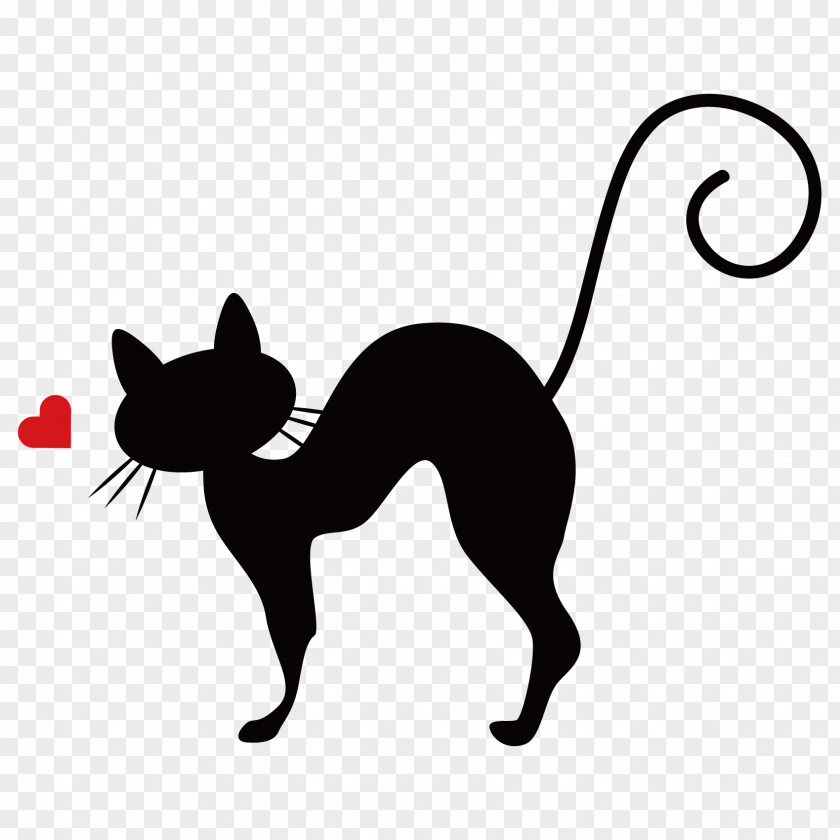 Feline Kitten Felidae Turkish Van Cat Meow PNG