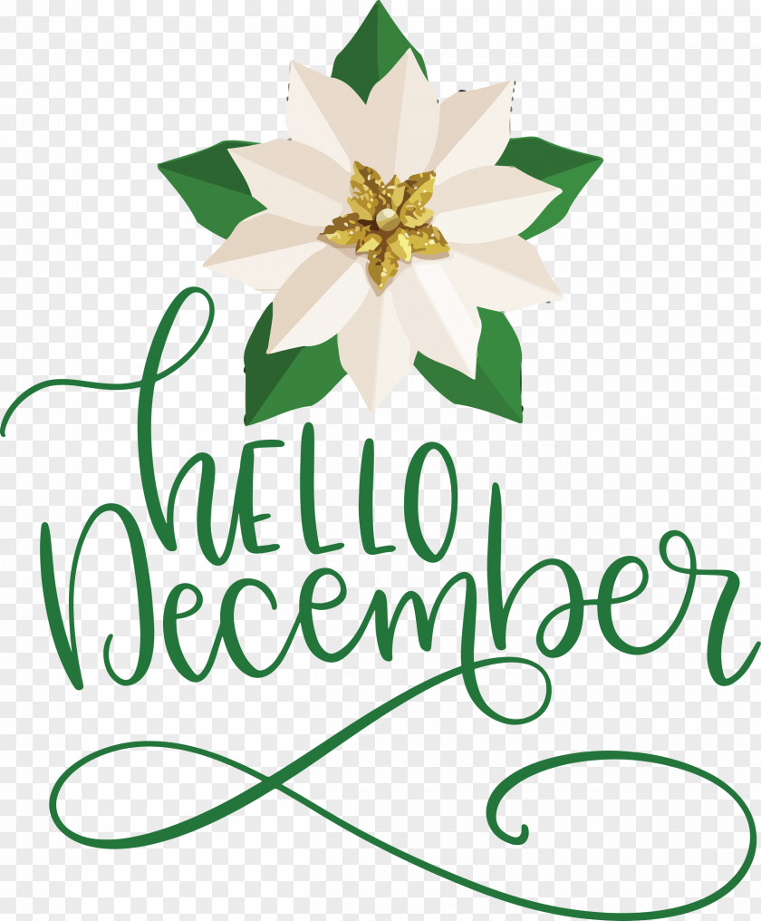 Hello December Winter PNG