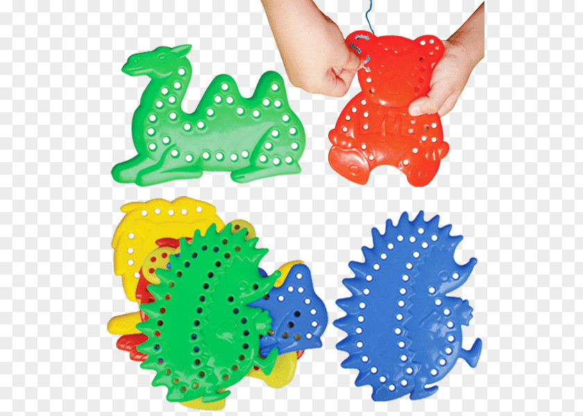 Learning Supplies Clip Art Product Design Organism PNG