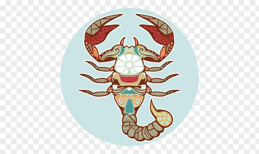 Round Cartoon Scorpion Scorpio Astrological Sign Zodiac Horoscope Illustration PNG