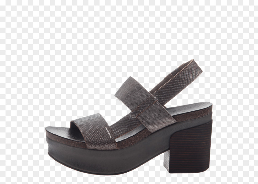 Sandal Shoe Slide Heel Wedge PNG