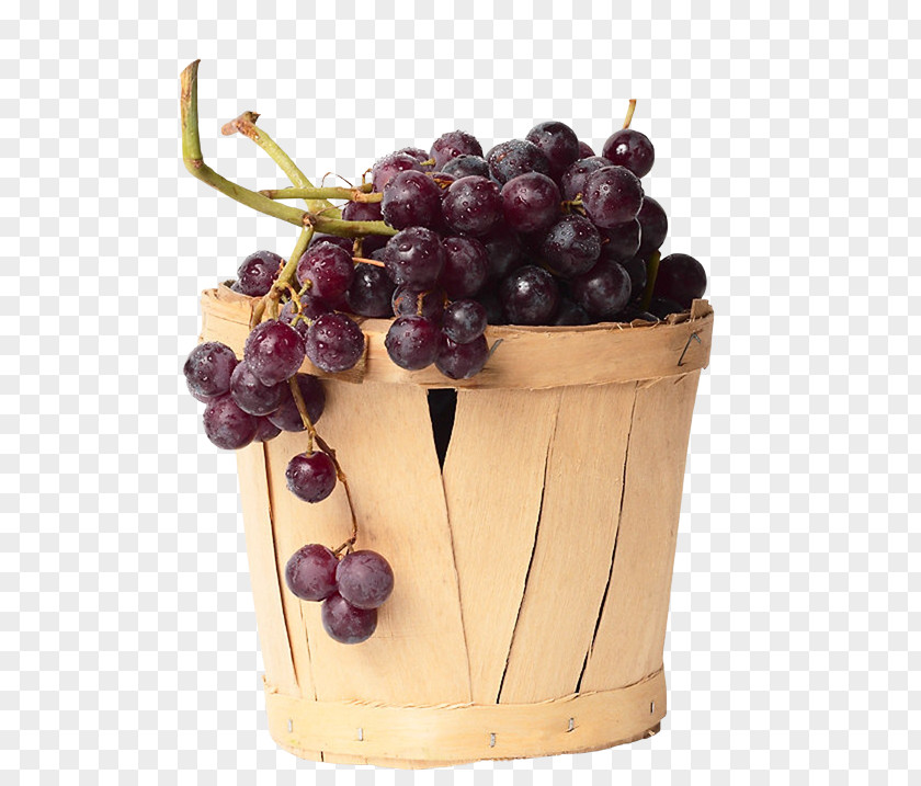 Vector Grapes Grapevines Fruit Berry PNG