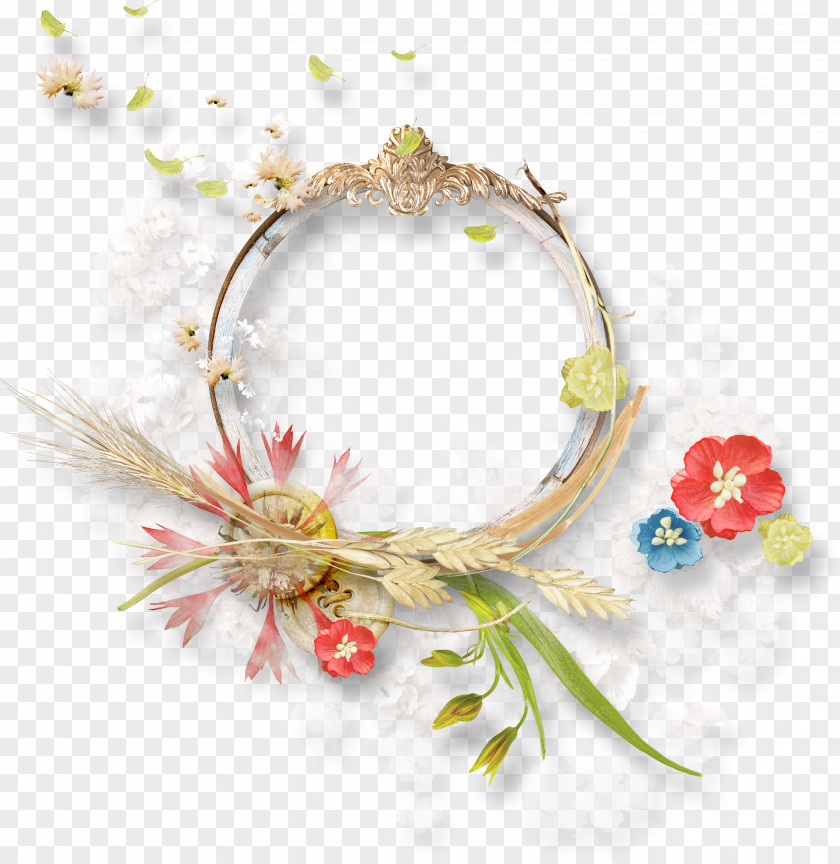B. Frame Squid Rings Circle Flower Picture PNG