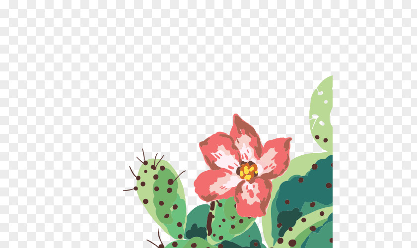 Cactus Cactaceae Floral Design PNG