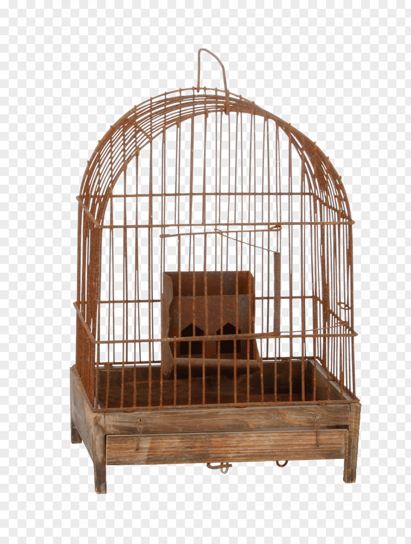 Large Birdcage Shelf Jehovah's Witnesses Furniture 4K Resolution PNG
