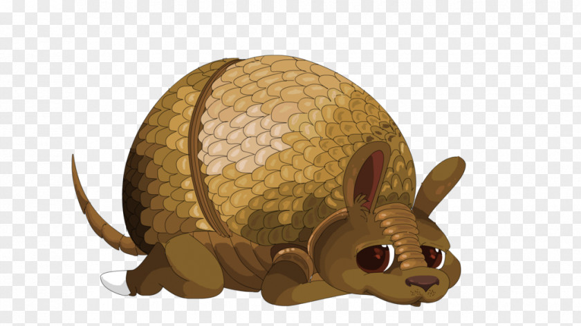 Nine-banded Armadillo Drawing Scale PNG