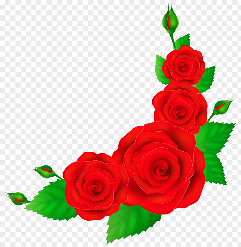 Petals Rose Flower Red Clip Art PNG