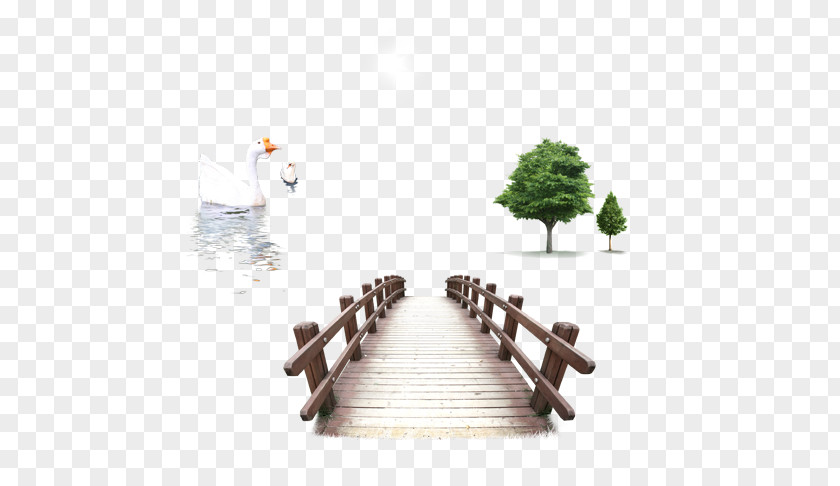 Wooden Bridges Swan Material Bridge Download Illustration PNG