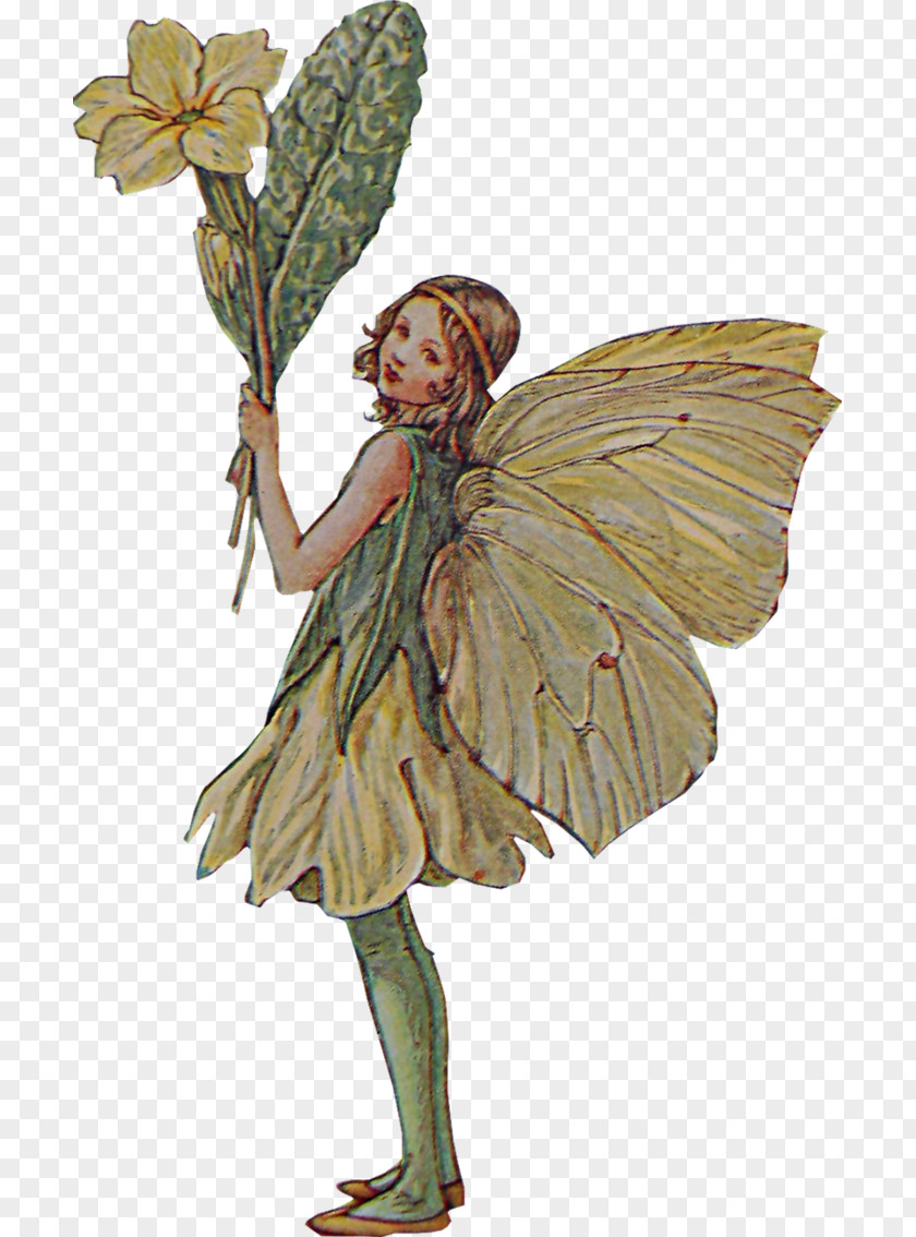 Fairy The Book Of Flower Fairies Pixie PNG